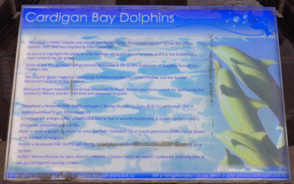 "Cardigan Bay Dolphins-Information." by ohefin is licensed under CC BY-SA 2.0. To view a copy of this license, visit https://creativecommons.org/licenses/by-sa/2.0/?ref=openverse.